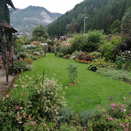 Appartment Haring Hollenstein an der Ybbs Экстерьер фото