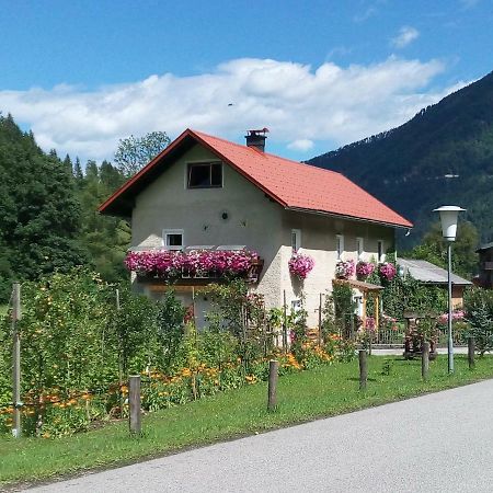 Appartment Haring Hollenstein an der Ybbs Экстерьер фото