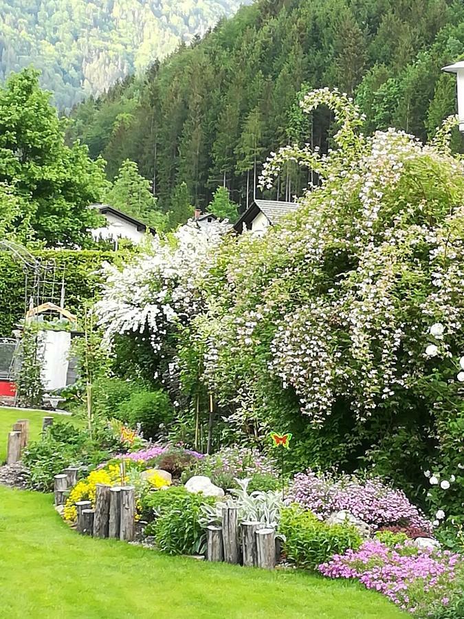 Appartment Haring Hollenstein an der Ybbs Экстерьер фото